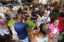 Imagem de Semana Santa: Movimento no Mercado do Peixe e São Joaquim