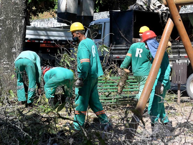 Imagem de Seman realizou 45 mil serviços em árvores este ano em Salvador