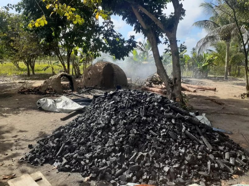 Imagem de Quadrilha é presa por furto e produção ilegal de carvão no extremo sul da Bahia