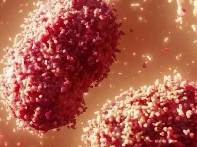 Imagem de Sesab alerta sobre casos de Monkeypox e formas de proteção ao vírus 