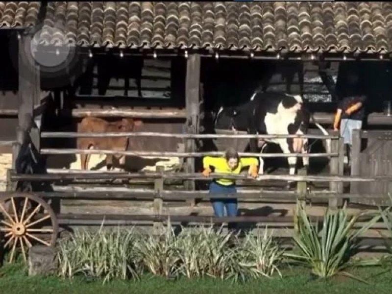 Imagem de A Fazenda: Deolane vomita após cuidar de vaca; veja vídeo