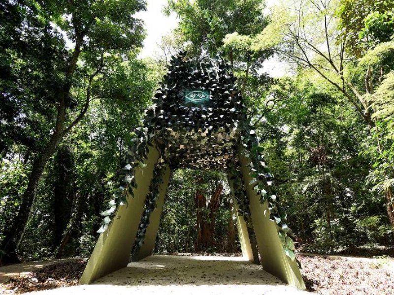 Imagem de Jardim Botânico de Salvador registra mil visitas em dois meses