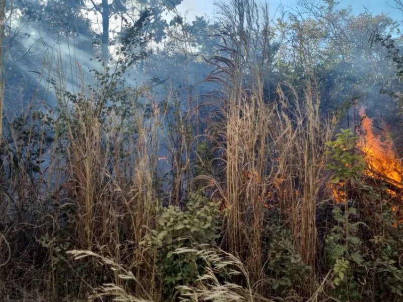 Imagem de Bahia tem mais de 190 focos de incêndios nesta quinta; veja locais