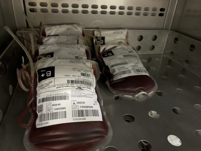 Imagem de Com aumento de solicitações, estoque de sangue da Hemoba permanece em estado crítico