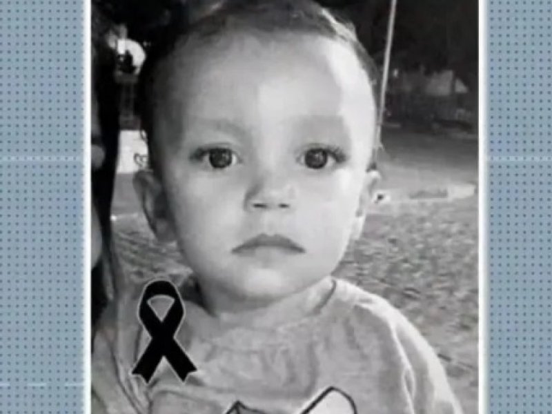 Imagem de Menino de 3 anos morre após ser atacado por cão rottweiler no interior da Bahia