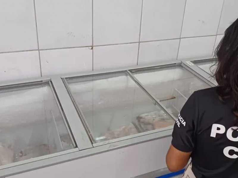 Imagem de Oito toneladas de peixes sem condições de consumo são apreendidas em Salvador