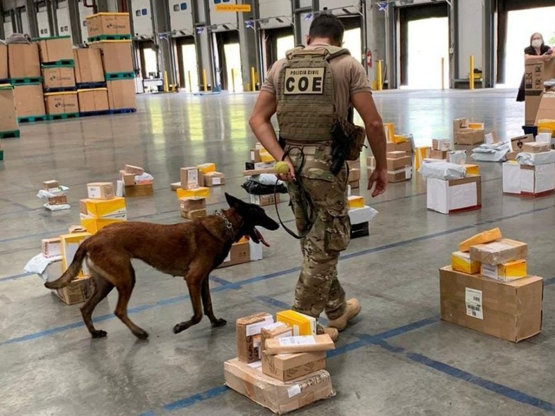 Imagem de Drogas avaliadas em R$ 1 milhão são apreendidas em encomendas enviadas através dos Correios