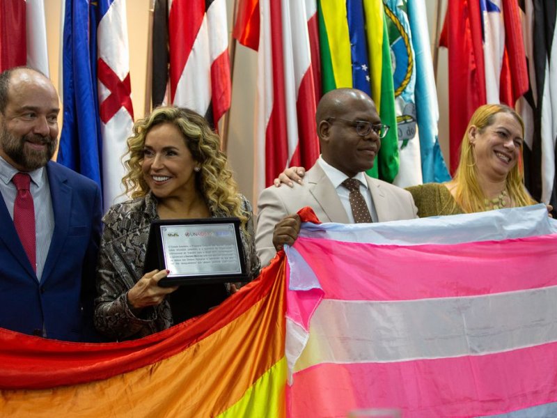 Imagem de Daniela Mercury participa de posse de membros do conselho LGBTQIA+, do Ministério dos Direitos Humanos