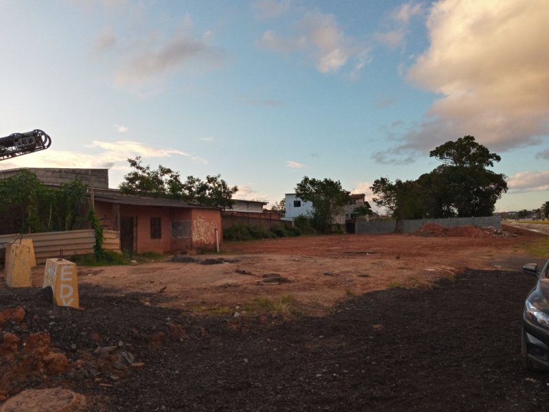 Imagem de Prefeitura de Salvador promove venda de 14 terrenos