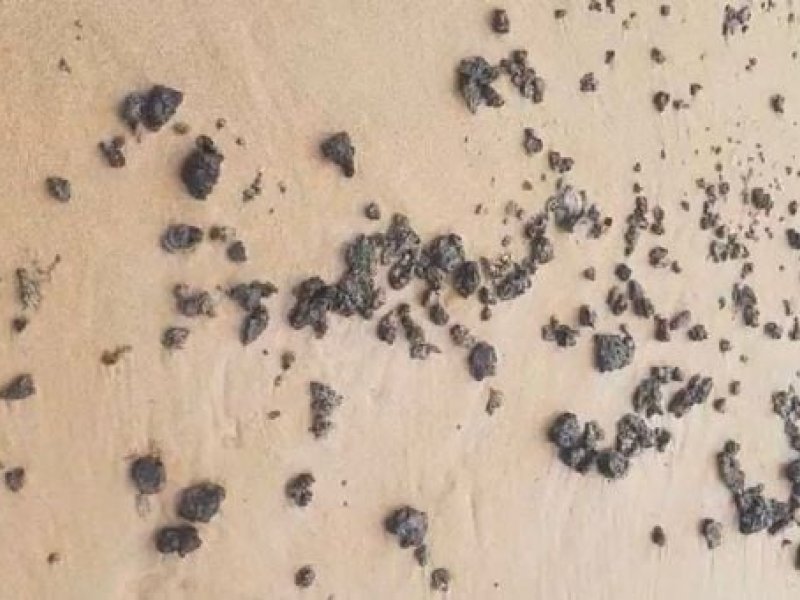 Imagem de Petróleo produzido no Kuwait atinge praias baianas, conclui Ufba