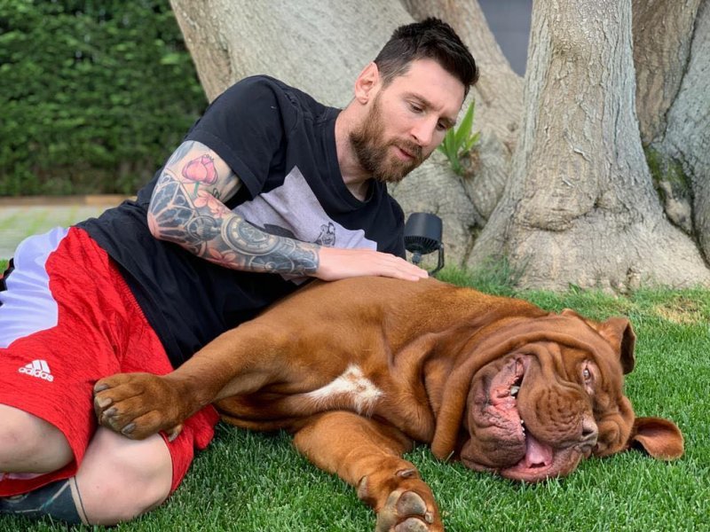 Imagem de Saiba motivo de Messi ter deixado cachorro em Barcelona
