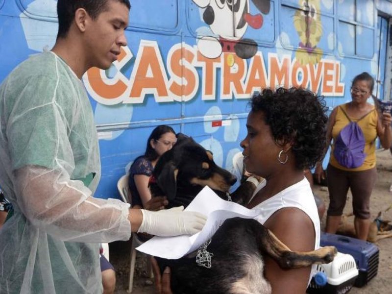 Imagem de Outubro Rosa: Prefeitura realiza ação especial para retirada de tumores mamários em animais