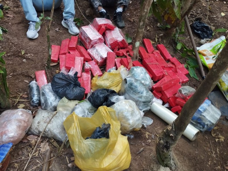 Imagem de Operação conjunta localiza cerca de 70 quilos de drogas em Nazaré