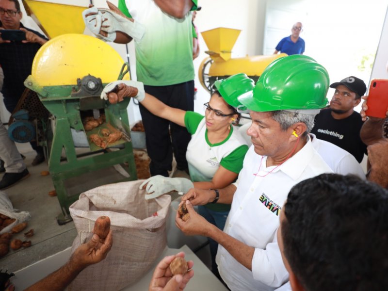 Imagem de Comunidades rurais de Pindobaçu recebem unidades produtivas e equipamentos de saúde