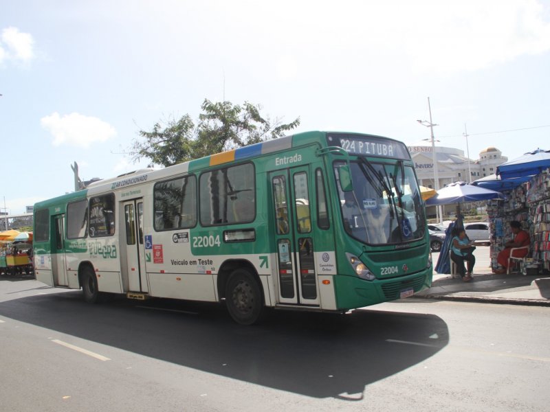 Imagem de Cajazeiras, Boca da Mata e Castelo Branco ganham novas linhas de ônibus em horários de pico; saiba mais