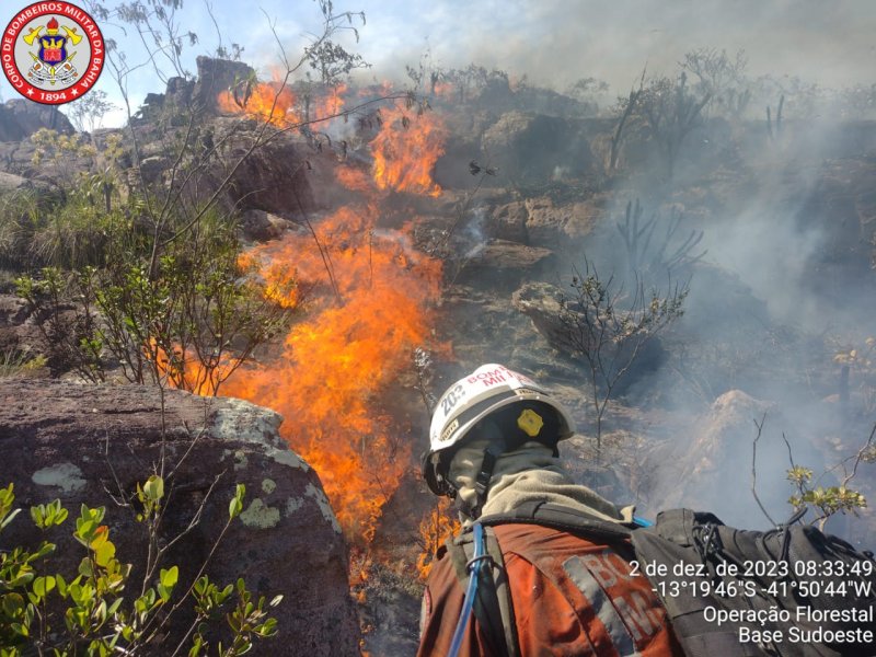 Imagem de Cerca de 200 bombeiros militares atuam no combate a incêndios florestais no interior da Bahia