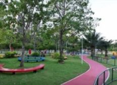 Imagem de Parque da Cidade oferece aulas gratuitas de ginastica aeróbica e funcional