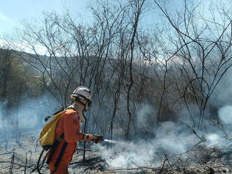 Imagem de Bombeiros debelam incêndio em vegetação na zona rural de Campo Formoso