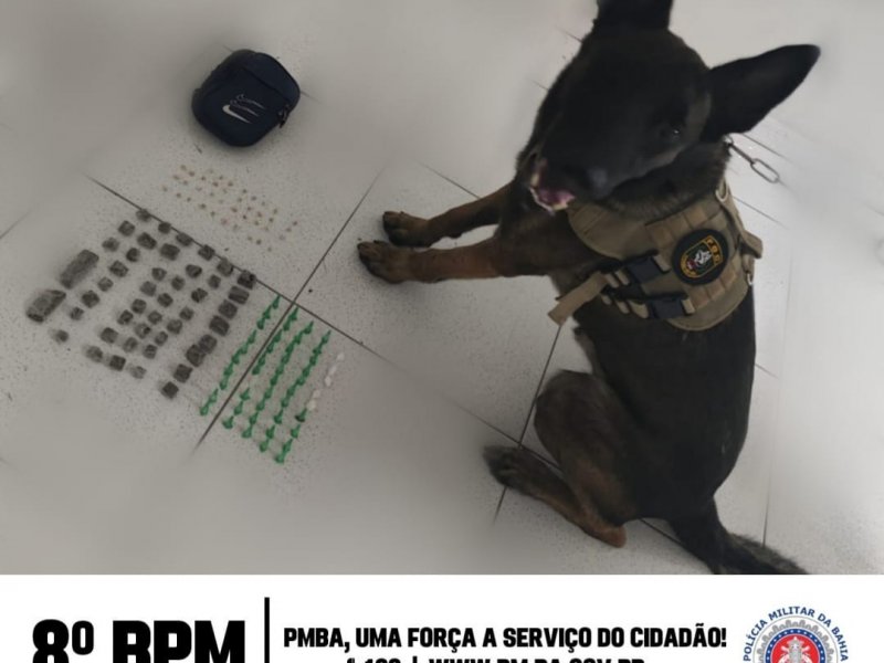 Imagem de PM apreende drogas em Porto Seguro com auxílio de cão