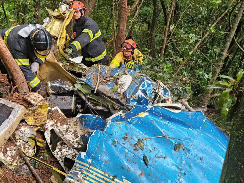 Imagem de Duas pessoas morrem após avião cair no ABC paulista