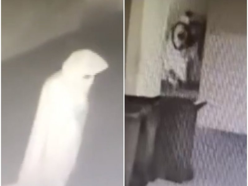 Imagem de 'Ladrão fantasma' é flagrado furtando bicicleta em prédio na Graça