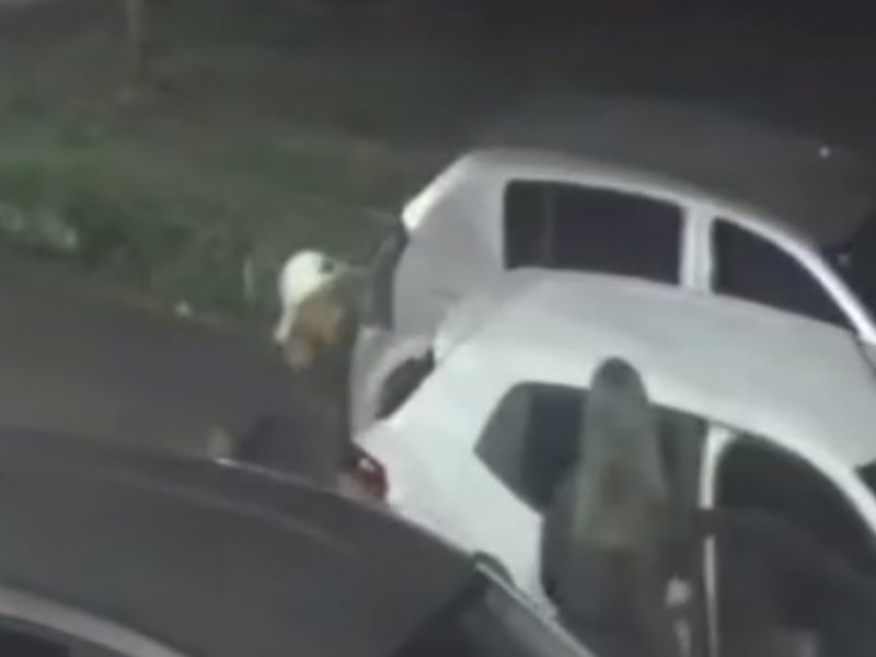 Imagem de Câmera flagra momento em que mulher tem carro roubado no Cabula VI