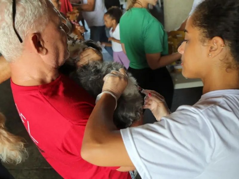 Imagem de Vacina V10 é ofertada gratuitamente para cães no Parque da Cidade de Salvador
