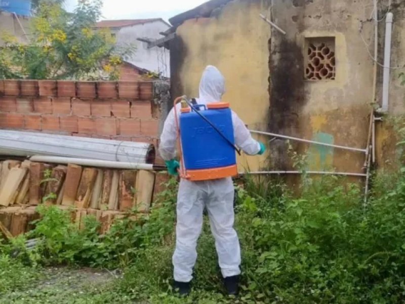 Imagem de Bahia registra nove casos de Febre do Oropouche, doença viral similar à dengue