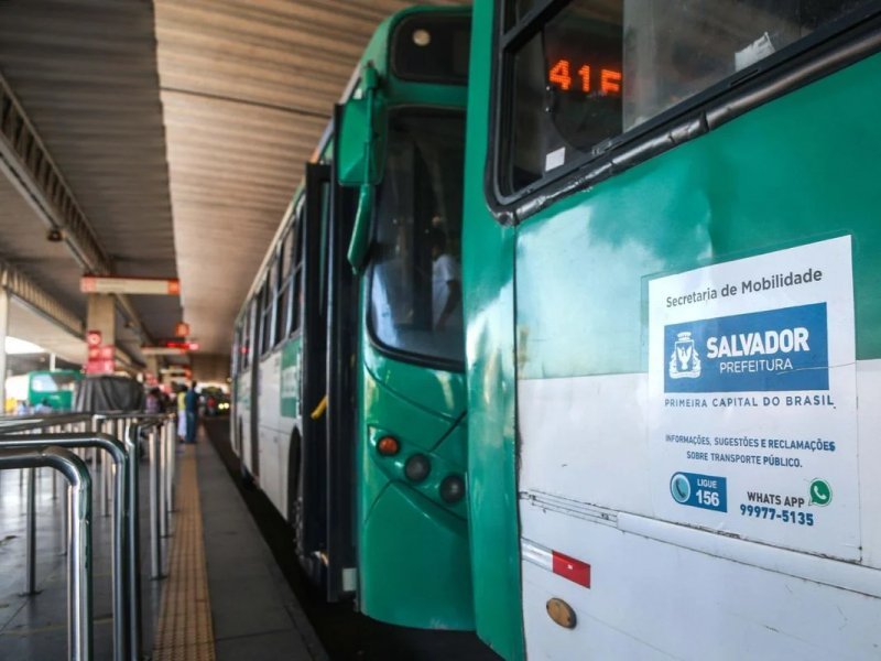 Imagem de Linhas de ônibus em Paripe terão itinerário modificado; confira mudança