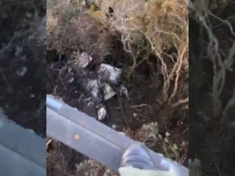 Imagem de Destroços de avião desaparecido em Jundiaí são encontrados 