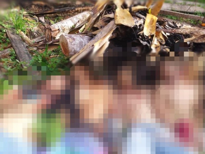 Imagem de Quatro jovens são encontrados mortos na zona rural de Barro Preto