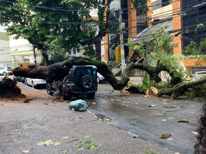 Imagem de Árvore cai em cima de Jeep e deixa veículo destruído na Barra