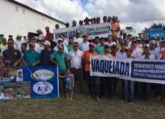 Imagem de Grupo protesta na Bahia contra proibição da vaquejada pelo STF