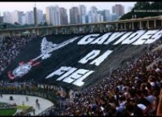 Imagem de Decisão liminar proíbe torcidas organizadas do Corinthians de ir a estádios