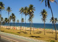 Imagem de Inema aponta 20 praias impróprias para banho em Salvador