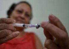 Imagem de Santa Catarina investiga quatro casos suspeitos de febre amarela