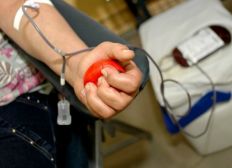 Imagem de Governo tem novos critérios para doação de sangue devido à febre amarela