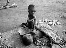Imagem de Mundo vive maior crise humanitária desde a 2ª GM por causa da fome
