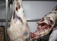 Imagem de Suíça amplia embargo à carne brasileira