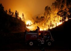 Imagem de Incêndio florestal deixa 58 mortos e 59 feridos em Portugal