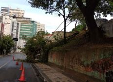 Imagem de Galho de árvore cai e interdita parte da via, próximo à igreja de Santo Antônio