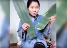 Imagem de Vlogueira de saúde chinesa come planta venenosa por acidente durante transmissão ao vivo
