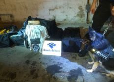 Imagem de Carga em contêiner no porto de Salvador escondia 200 kg de cocaína que seguiriam para Manaus