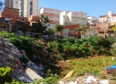 Imagem de Moradores denunciam terreno abandonado no Costa Azul