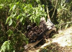 Imagem de Micro-ônibus cai em ribanceira e deixa mortos e feridos na serra da Rodovia Oswaldo Cruz em Ubatuba, SP