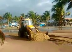 Imagem de Mar avança, derruba novas árvores e invade casas em Belmonte, no extremo sul da Bahia