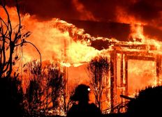 Imagem de Incêndios deixam mortos e destroem 1,5 mil casas na Califórnia