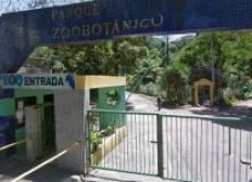 Imagem de Passeios noturnos ao Zoológico de Salvador estão de volta
