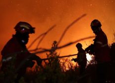 Imagem de Incêndios florestais deixam mais de 30 mortos em Portugal