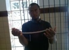 Imagem de Homem usa cobra para assaltar em Santo Estêvão e acaba preso